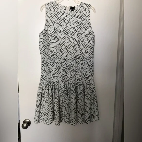 Ann Taylor floral pleated flare dress